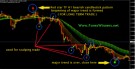tracke rforex she show this system change your life