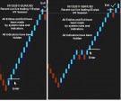 ForexRacer professional Renko System